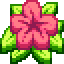 HibiscusMC