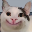 derevnya.aboba.host