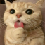 Steaky SMP