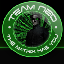 Team-NeO