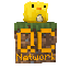 QuackCraft (CA)