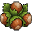 Hazelnut Network