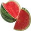 Melon SMP
