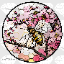 HoneyBlossomSMP