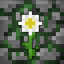 Neverbloom