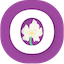 Orchid (DE)