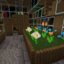 Ignite Survival