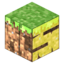 MinecraftSurvivalist