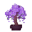 RuneCraft (BR)