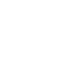 Root