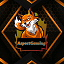 AspectGaming