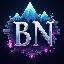BlowiekNetwork
