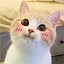 FluffyCraft