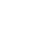 ZBird SMP