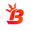 Bervis Network