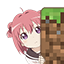 iMinecraft (CN)