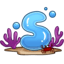 The Splash