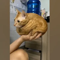 BISHKETSKIY