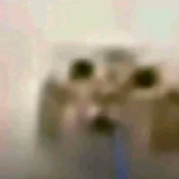 xuiecej